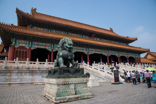 Solo in Beijing, So Glad I Had You to Chat With